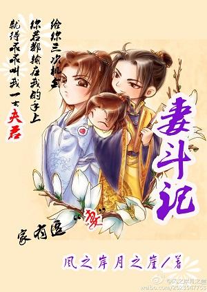 妻斗记+番外txt下载