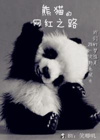 熊猫的网红之路txt下载