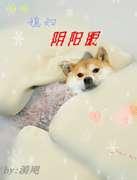 Ӵǣϱۣ